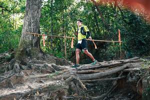 BIB: 
                            <button type="button" onclick="openModal(27747634)" class="btn btn-primary btn-sm float-right btn-popup" data-toggle="modal" data-target=".modal-high-quality">
                        <i class="fas fa-shopping-cart"></i> Add to Cart
                    </button>
                                            <button type="button" onclick="isThisMe(27747634, true)" class="btn btn-success btn-sm float-right btn-popup btn-isme hidden" data-toggle="tooltip" data-placement="bottom" title="นี่คือรูปของคุณใช่ไหม คลิกที่นี่เพื่อเอาเข้าอัลบั้ม">
                        <i class="fas fa-plus"></i> Add to album
                    </button>
                    <button type="button" onclick="isThisMe(27747634, false)" class="btn btn-warning btn-sm float-right btn-popup btn-isnotme hidden">
                        <i class="fas fa-ban"></i> Remove from album
                    </button>